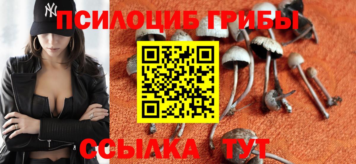 Псилоцибиновые грибы GOLDEN TEACHER  Вход с VPN  Отрадное 
