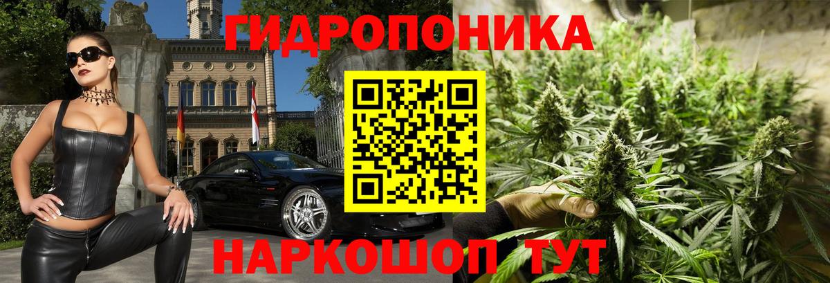 Канабис планчик  Конопля AK-47  Вход с VPN  Канабис Amnesia  Отрадное  Бошки марихуана Ganja 